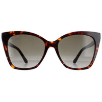 Jimmy Choo Rua 086 Brown Sunglasses 56/18/145