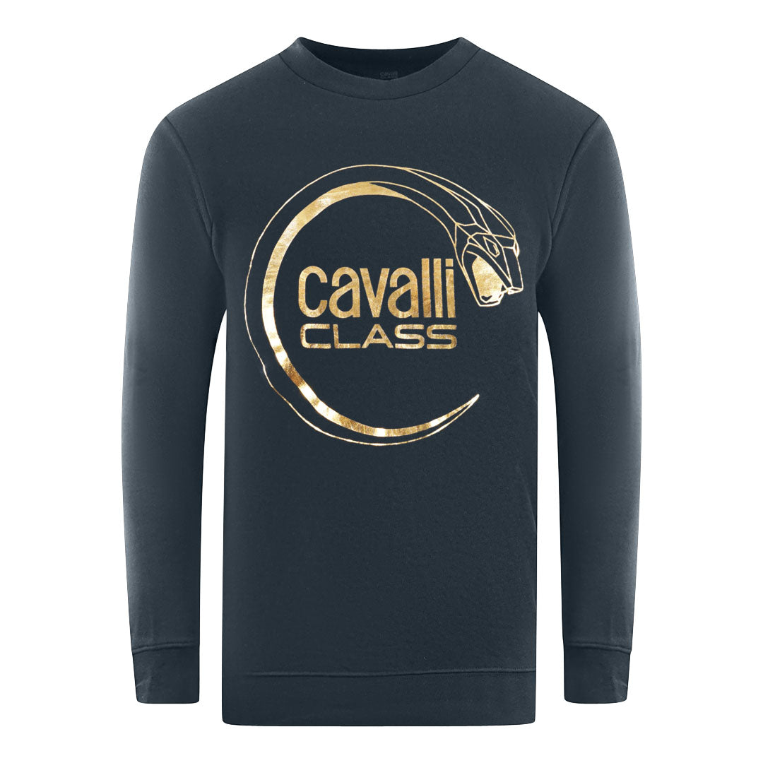 Cavalli Class Mens Sweater Rxt65A Cf062 04926 Navy Blue